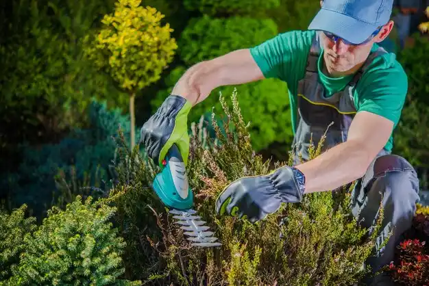 landscaping services Canal Fulton
